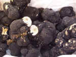 black truffle