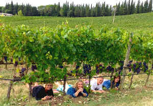 vineyard minibus tour with Sunflower Tours